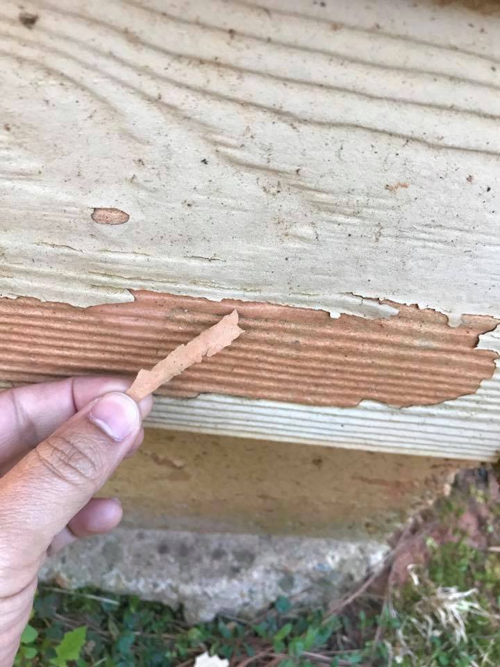 The Importance of Pressure Washing