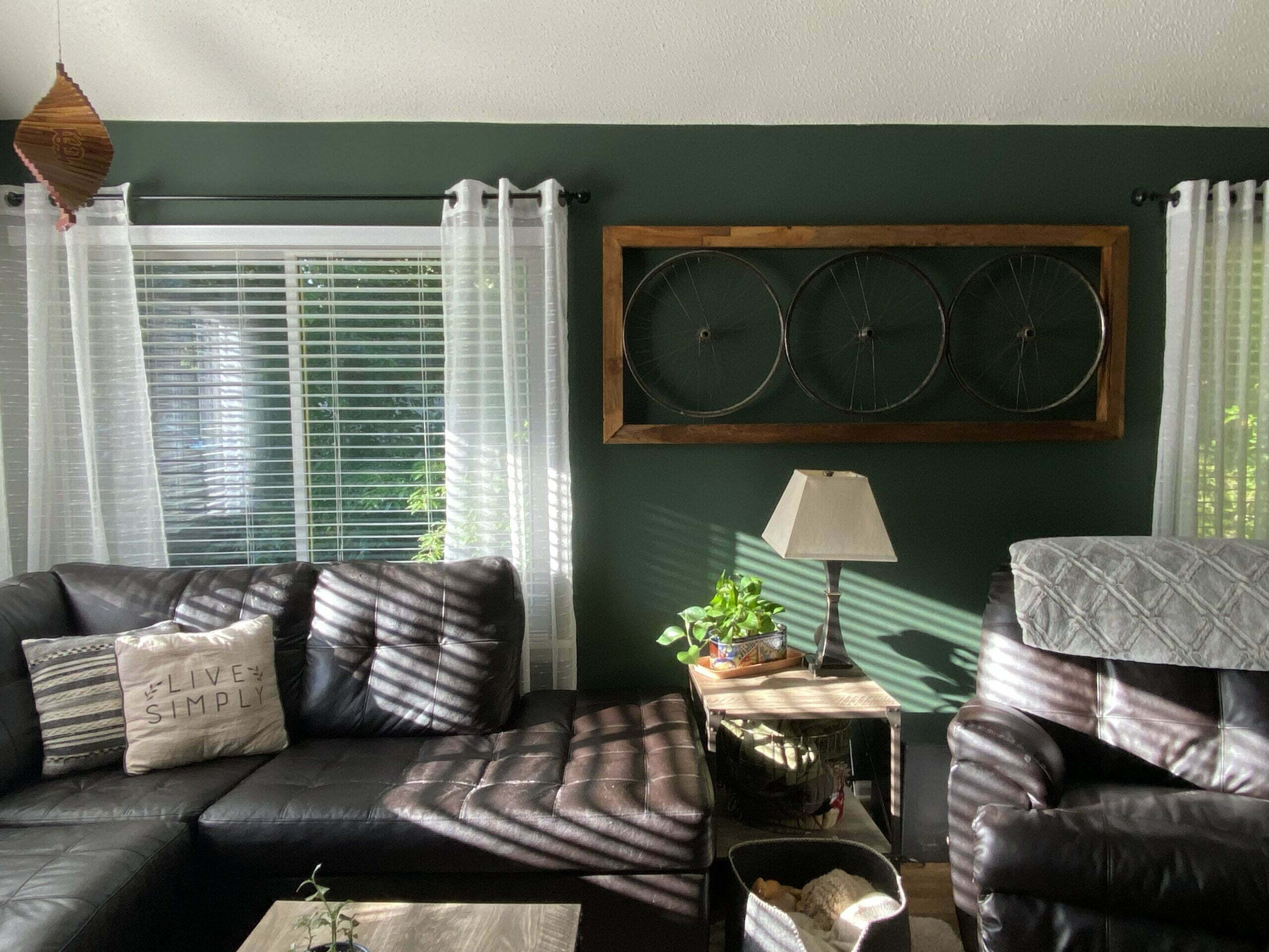 Atlanta homeowner color trends