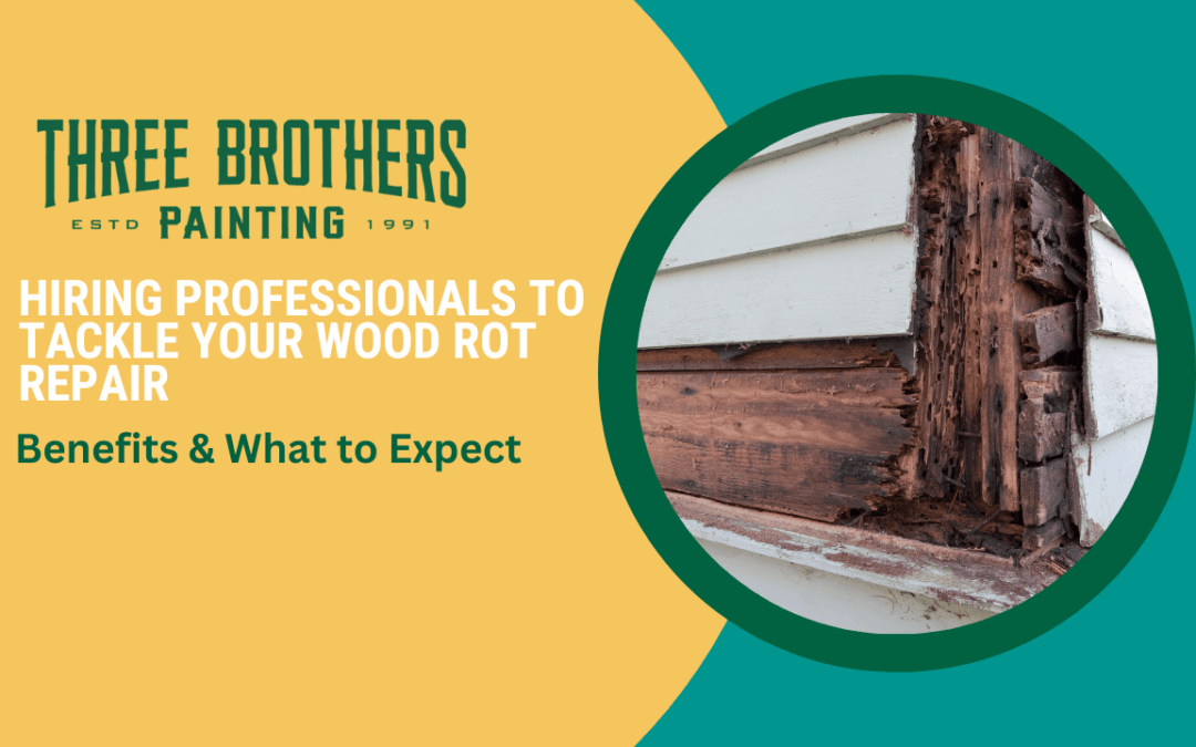Benefits of Hiring Professionals to Tackle Your Wood Rot Repair