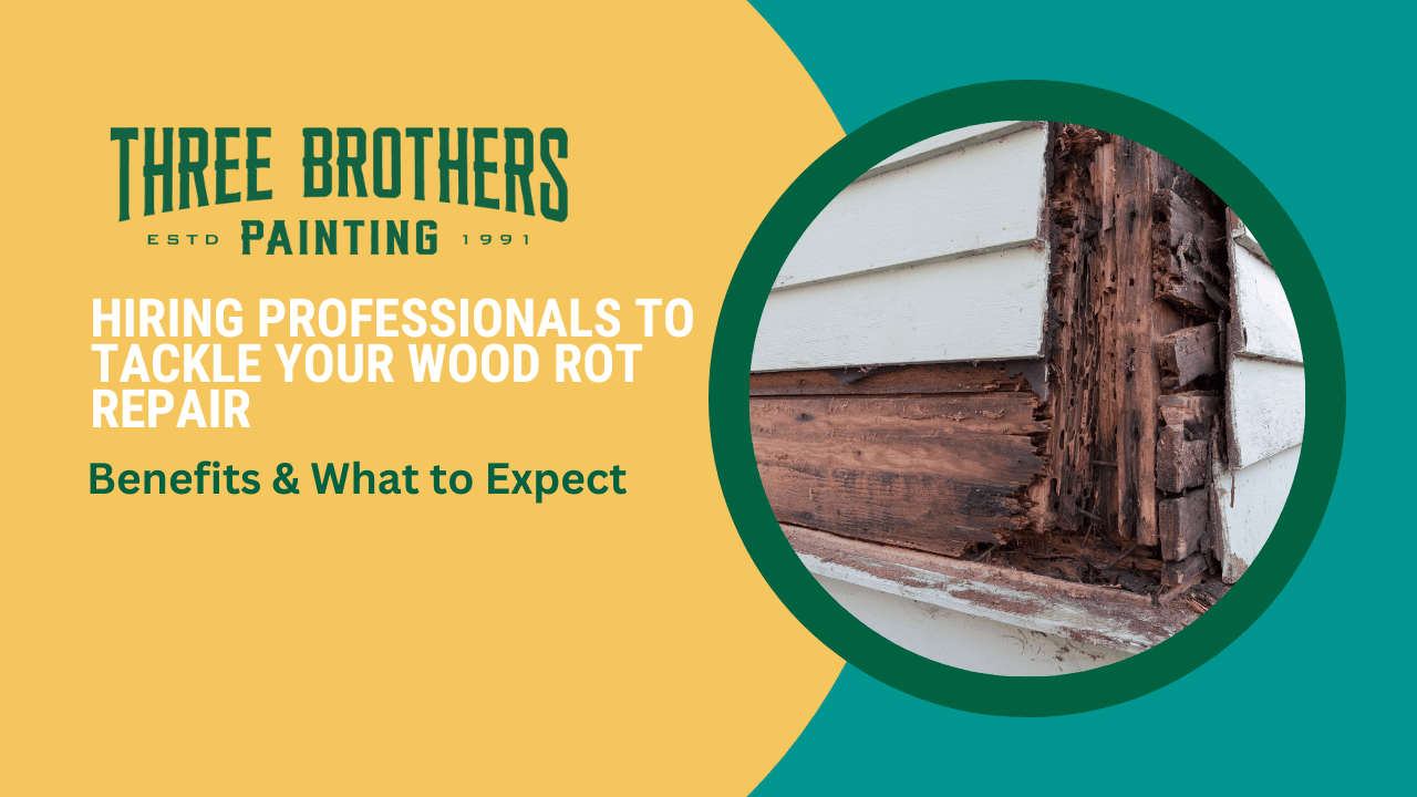 Wood Rot Repair