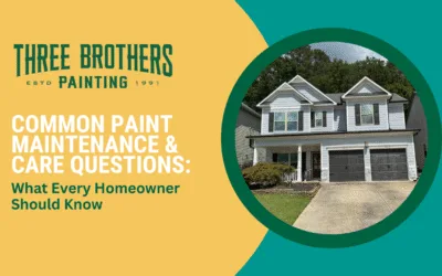 Common Paint Maintenance & Care Questions: What Every Homeowner Should Know